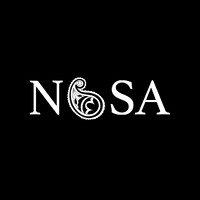 Nesa Architects logo - Similar company to Hunap Studio