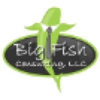 Big Fish Consulting