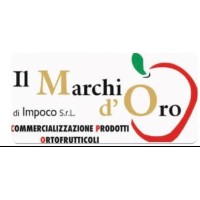 IL MARCHIO D ORO DI IMPOCO S.R.L. logo - Similar company to Promotergroup S.P.A.