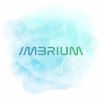 Imbrium Tech logo - Similar company to Lemon.Dev