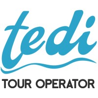 Tedi Tour logo - Similar company to Tiberadv