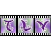 Timeline Visions, LLC logo - Similar company to Ace-Hti