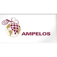 Ampelos Latinoamerica logo - Similar company to Baozou Ltd