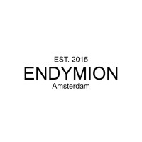 ENDYMION Amsterdam logo - Similar company to Fc Finance