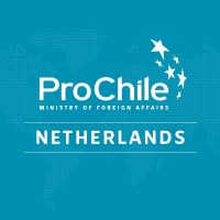ProChile Netherlands logo - Similar company to Prochile Deutschland