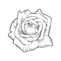 CARRINGTON INTERIORS LIMITED logo - Similar company to Epicurean