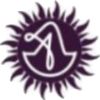 SRIDAK logo - Similar company to Vietnamese Security Network J.S.C - Vsec