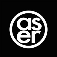 asero logo - Similar company to Assero Service, Llc