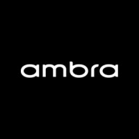 Ambra Group logo - Similar company to Group48
