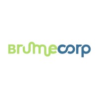 BrumeCorp logo - Similar company to Believing Talents