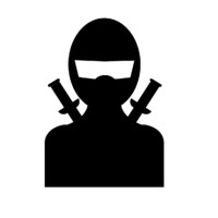 WebSafety Ninja logo - Similar company to Intigriti
