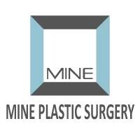Mine Plastic Surgery Clinic Korea