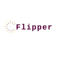 Flipper Technologies logo - Similar company to Techsource It Recruitment