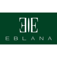 Eblana Capital Partners logo - Similar company to Wizzwang