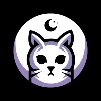 Playnanao logo - Similar company to Gear Cloud Studio ⚙️☁️ (Asso)