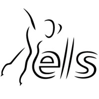 D.S.S.V. ELS logo - Similar company to U.S.S.V. Softijs