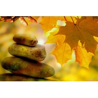 Meditacion Trascendental logo - Similar company to Meditacion