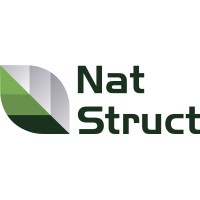 NatStruct AG logo - Similar company to Effinigo