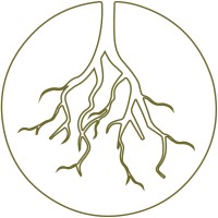 DIRTY ROOTS BERLIN logo - Similar company to Maon