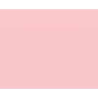 Pink Hope logo - Similar company to Inherited Cancers Australia