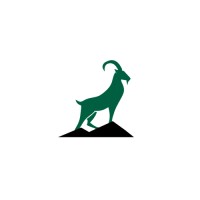 wedeo logo - Similar company to Space Cadet Studio