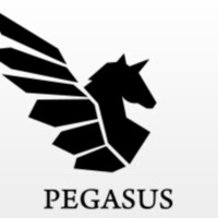 Pegasus Medical logo - Similar company to Pegasys Medical