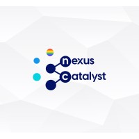 Nexus Catalyst logo - Similar company to Hubudio Group