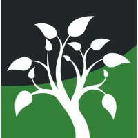 Plainfield Accounting & Tax LTD logo - Similar company to Alexon Financial