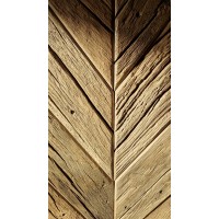 Stary Pies sp. z o.o. logo - Similar company to Kulbat Konstrukcje Budowlane I Inżynierskie Łukasz Kulbat