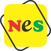 Nadir E-Skills logo - Similar company to Dotline Technologies Pk