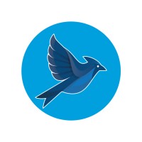 Blue Cardinal Advisors logo - Similar company to Path Fertility