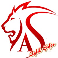 Aylık Şoför logo - Similar company to Şoför.Co