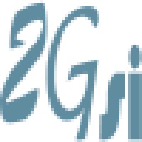 2GSI logo - Similar company to Kaydara Paris
