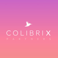 Colibrix Partners logo - Similar company to Cherrywise Co.