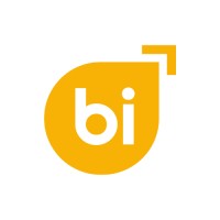 Wise BI logo - Similar company to Carguber