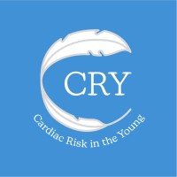 CRY Ireland logo - Similar company to Socrates Workforce Solutions