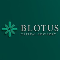 BLotus Capital Advisory logo - Similar company to Franchise Roots