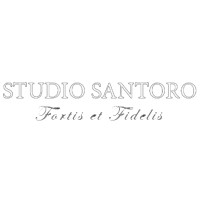 Studio Santoro & Partners logo - Similar company to Palmisano Srl