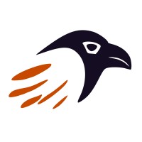 Raven Parthenon Education logo - Similar company to The Nsxperience Llp