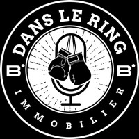 Dans le Ring Immobilier logo - Similar company to Finops