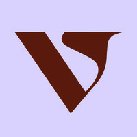 VICE VERSA logo - Similar company to Phacemedical