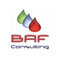 BAF Consulitng SC logo - Similar company to Baf Consulting