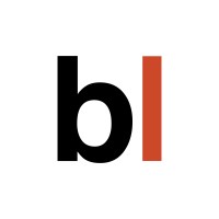 Black Logic logo - Similar company to Brilliant Logic