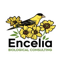 Encelia Biological Consulting