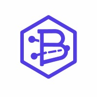 BabajideAI logo - Similar company to Solidbricks