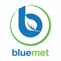 Bluemet srl logo - Similar company to Anaxum