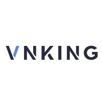 Shenzhen VNKing Technology Co.Ltd logo - Similar company to Kadeya