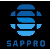 SAPPRO - Wsparcie dla SAP BUSINESS ONE logo - Similar company to Sappro - Sap Professional Consultancy
