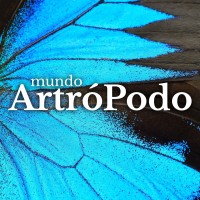 Asociación Mundo Artrópodo (AMA) logo - Similar company to Green Leone
