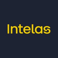 Intelas logo - Similar company to Intelas